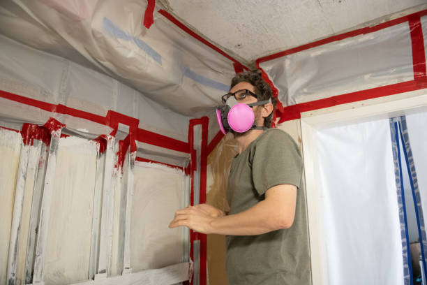 Best Black Mold Removal  in Canton, MS